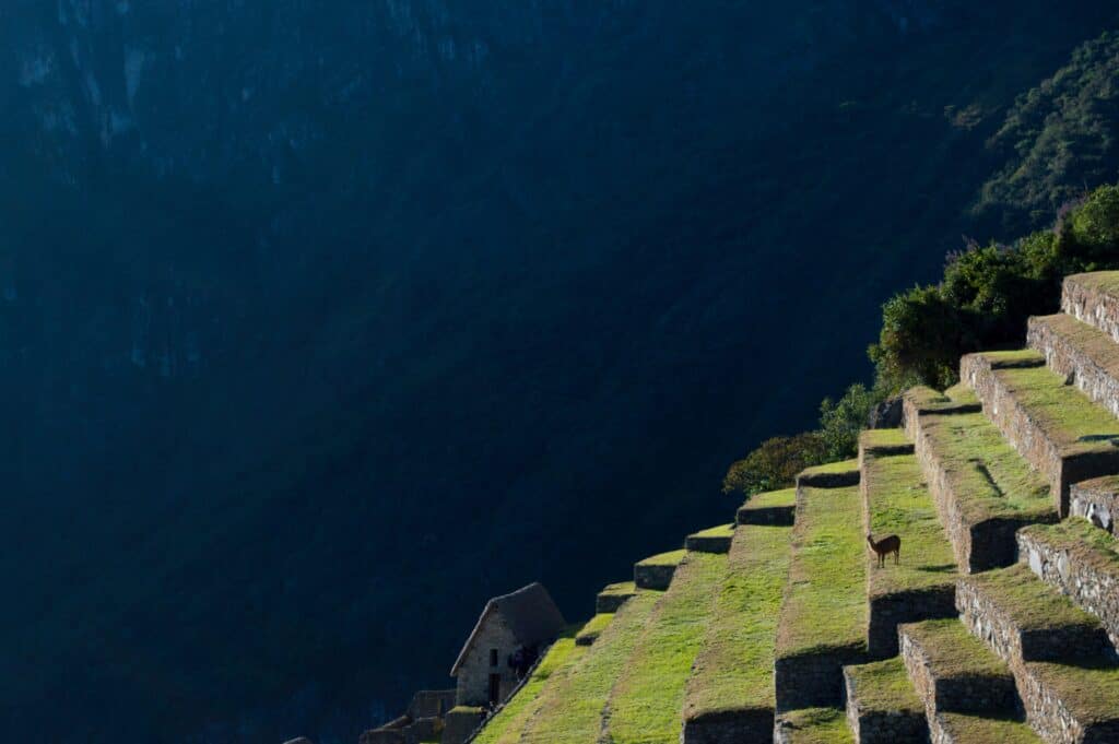 Is Machu Picchu worth it? The steep side of the mountain upon which sits Machu Picchu, the great citadel of the Incan people.