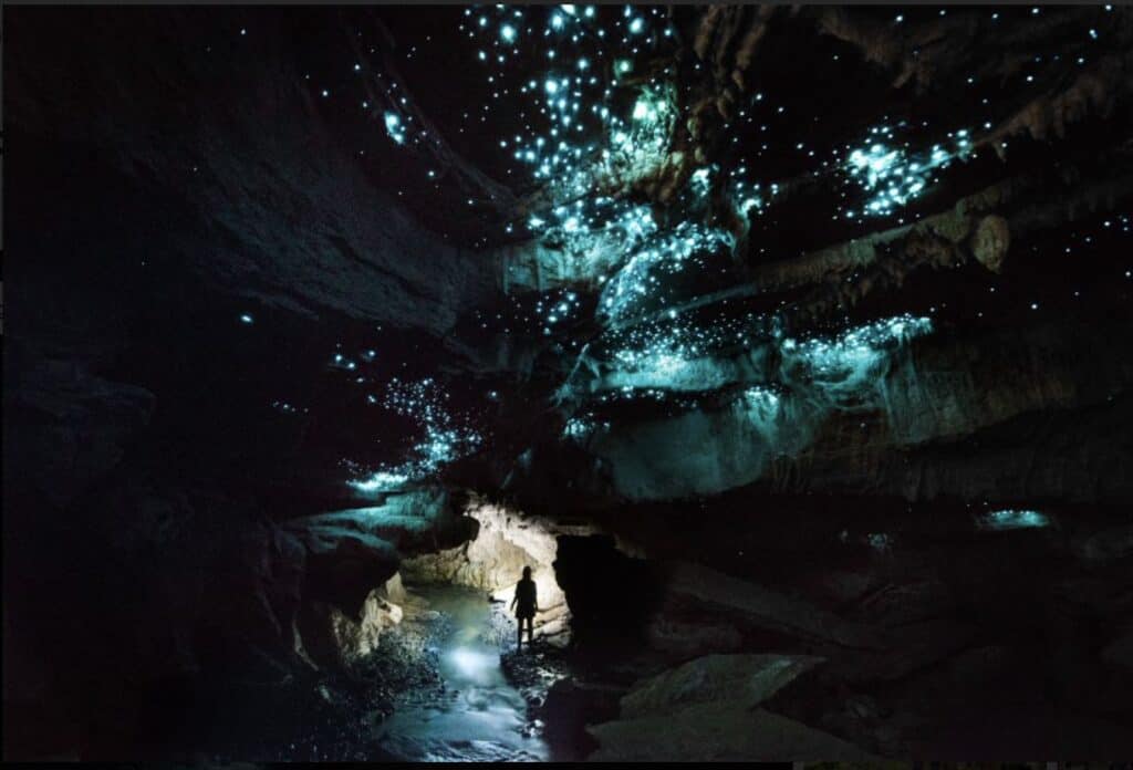 Waitomo Glowworm Caves is a must see when you visit New Zealand. 