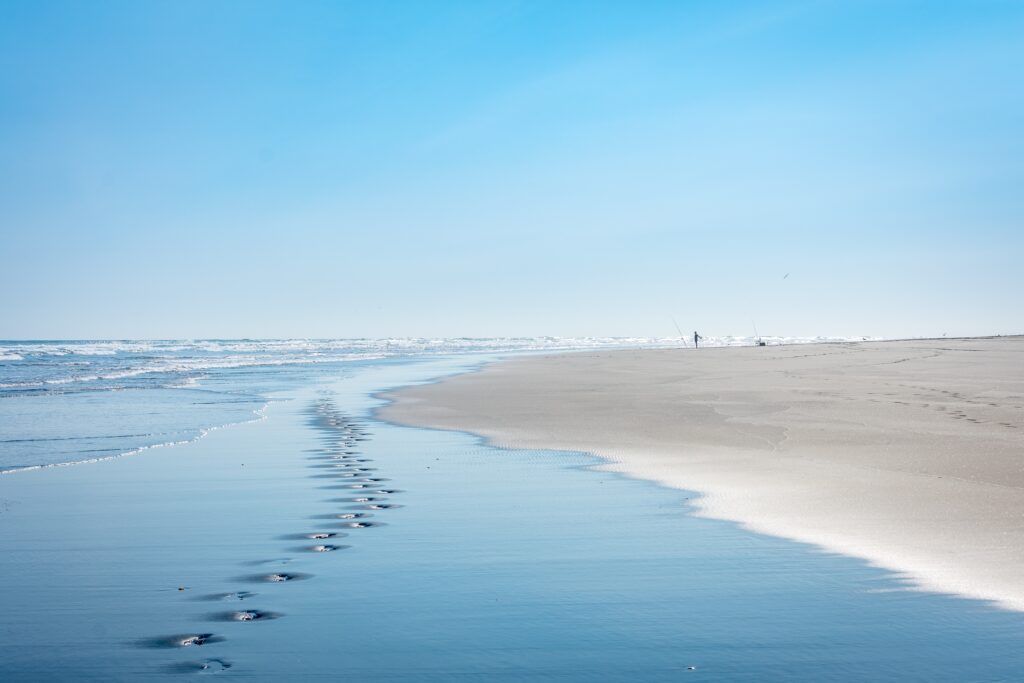 New Zealand is worth visiting for its coastline dotted with beautiful beaches. 