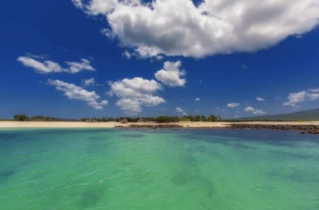 The turquoise waters in the Galapagos Islands.