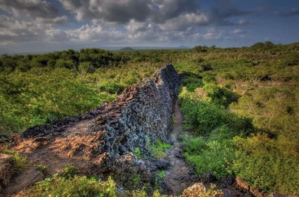 The Wall of Tears of Isabela Island, Galapagos.