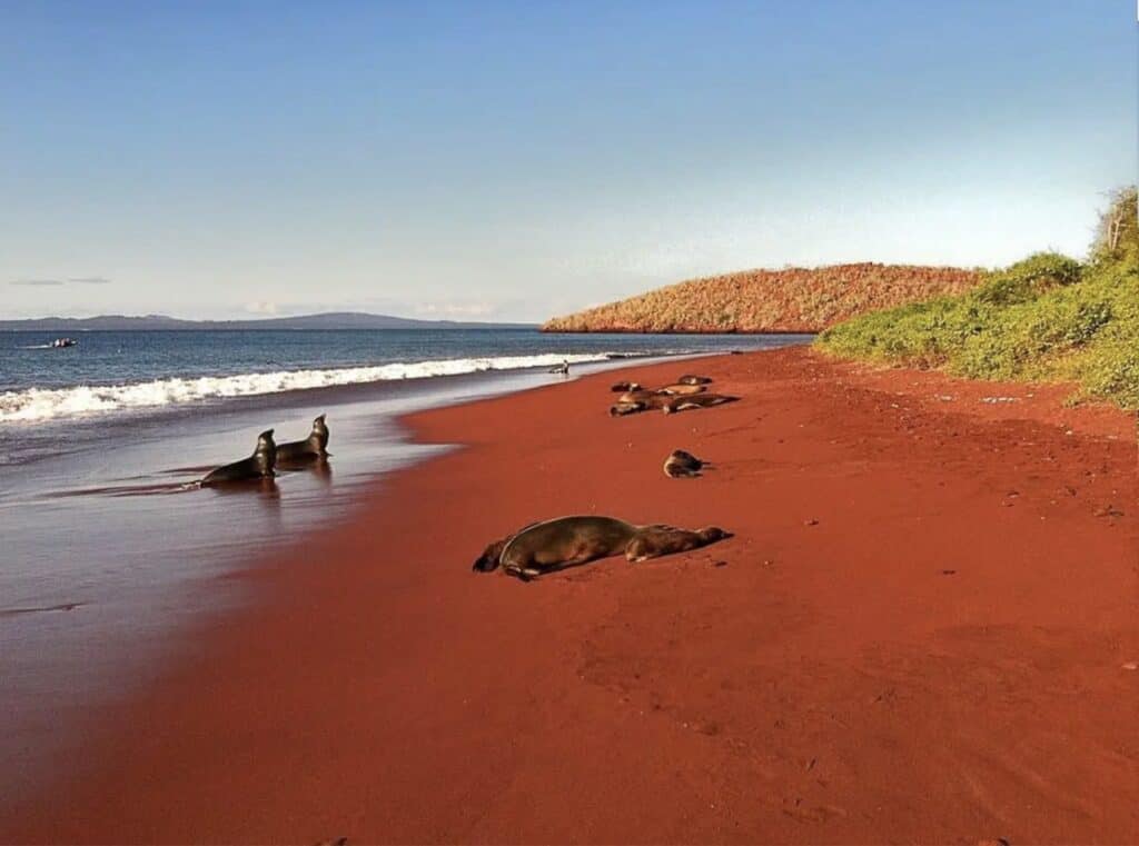 Red Sand Beach, Rábida Island.
