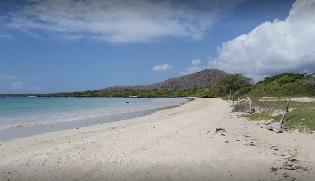 Playa El Garrapatero, Santa Cruz Island where you can find several great Galapagos beaches. 