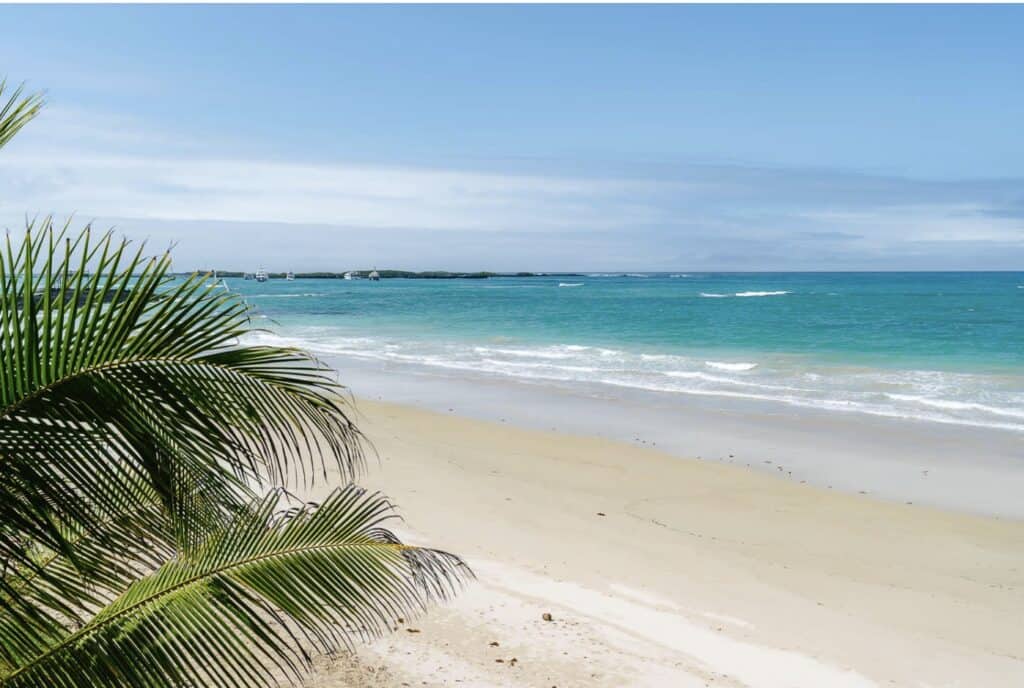 Puerto Villamil beach, or Playa Isabela in Isabela island, is a gorgeous beach and one of the best Galapagos beaches.