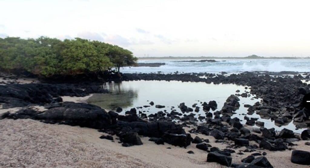 Playa del Amor or Lover's Beach, Isabela Island.