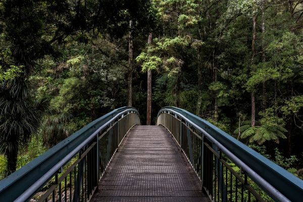 Whangarei Falls, Whangarei, New Zealand.