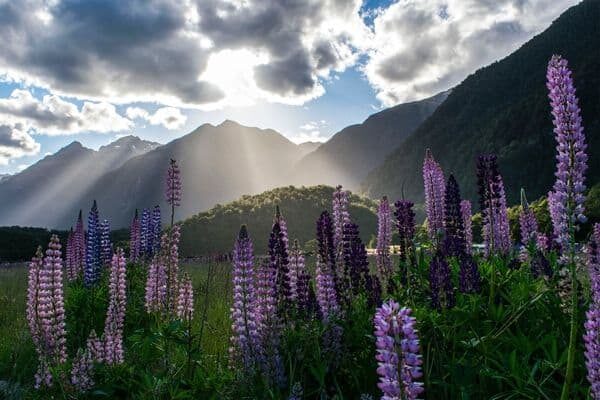 How much time in New Zealand is enough?