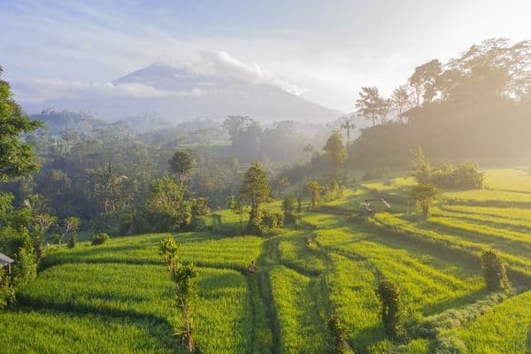 Mount Batur, Bali. Hike to the summit with a local guide. 