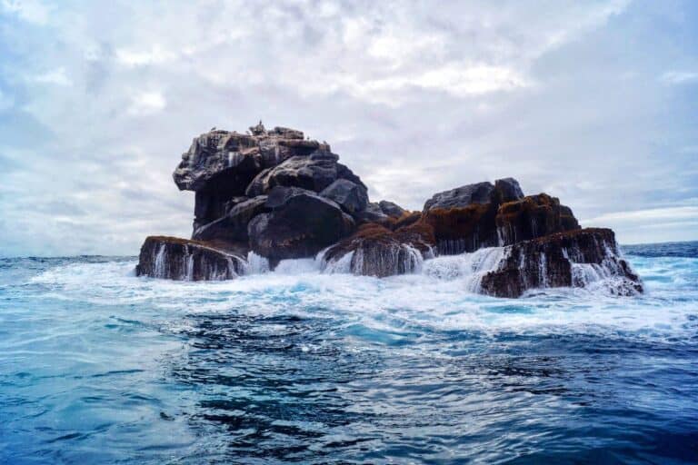 Visiting the Galapagos Islands is an experience you won't soon forget.