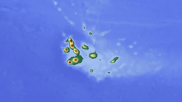 The Galapagos are a cluster of islands off South America.