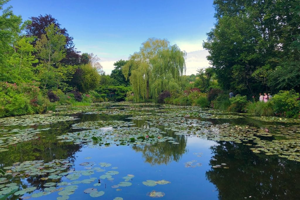 Pond with lily pads at Jardin de Monet, Giverny, France.
