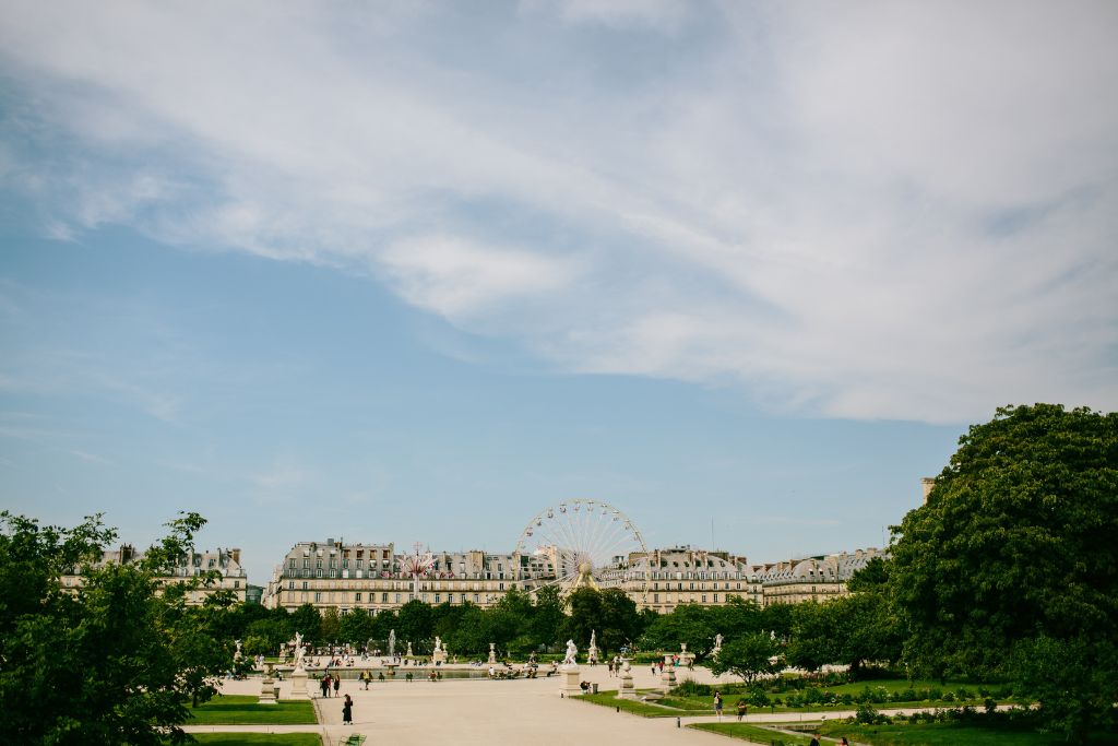 Ferris Wheel in the background, with Tuileries Garden in the foreground. Paris, France. 