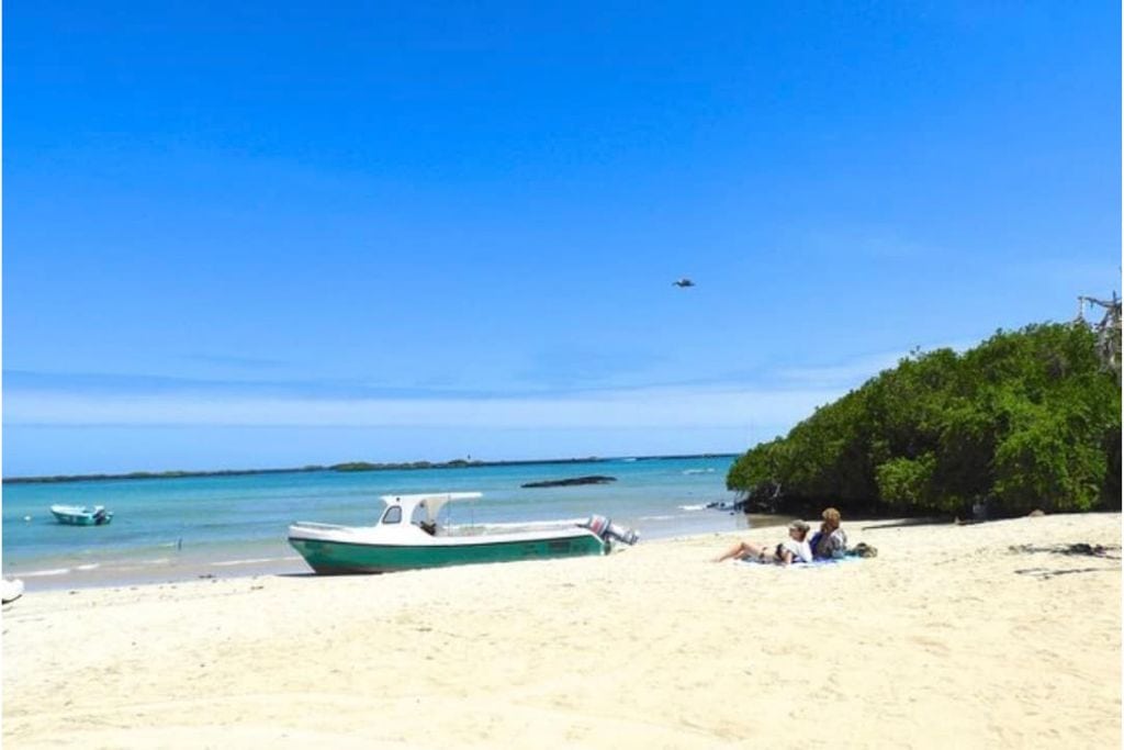 On the 7-Day Luxury Safari Tour of the Galapagos Islands, you island hop to see all the Galapagos has to offer.