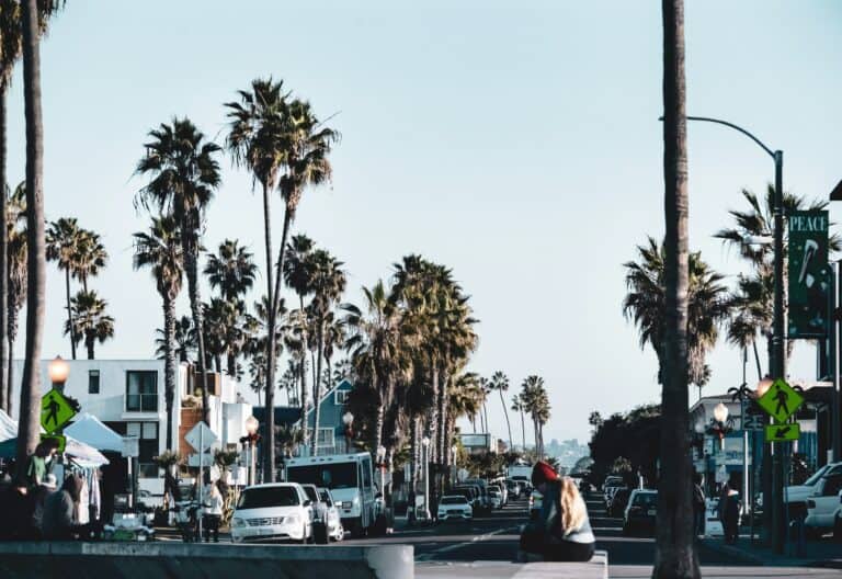 A busy street lined with Palm Trees.