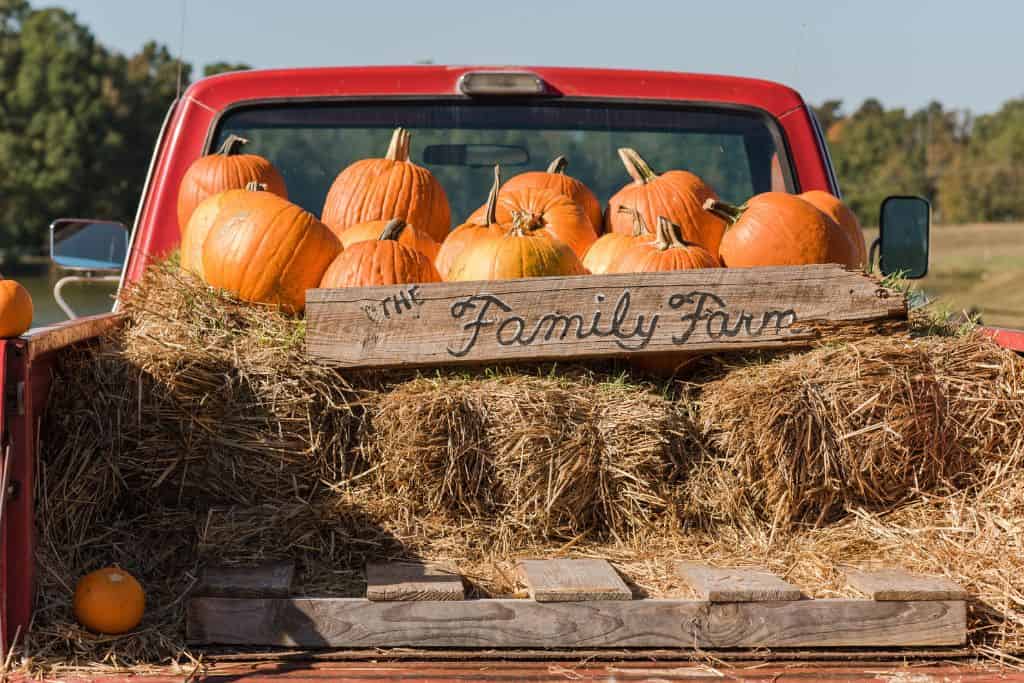 Photo of the back of a red pickup truck with pumpkins and hay in the bed of the truck.