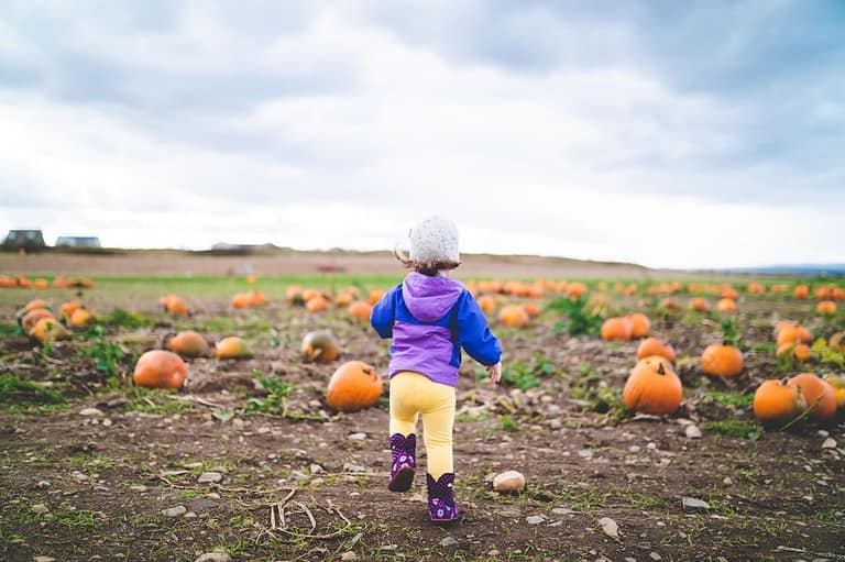 A little girl with her back turned running through a pumpkin patch in California.