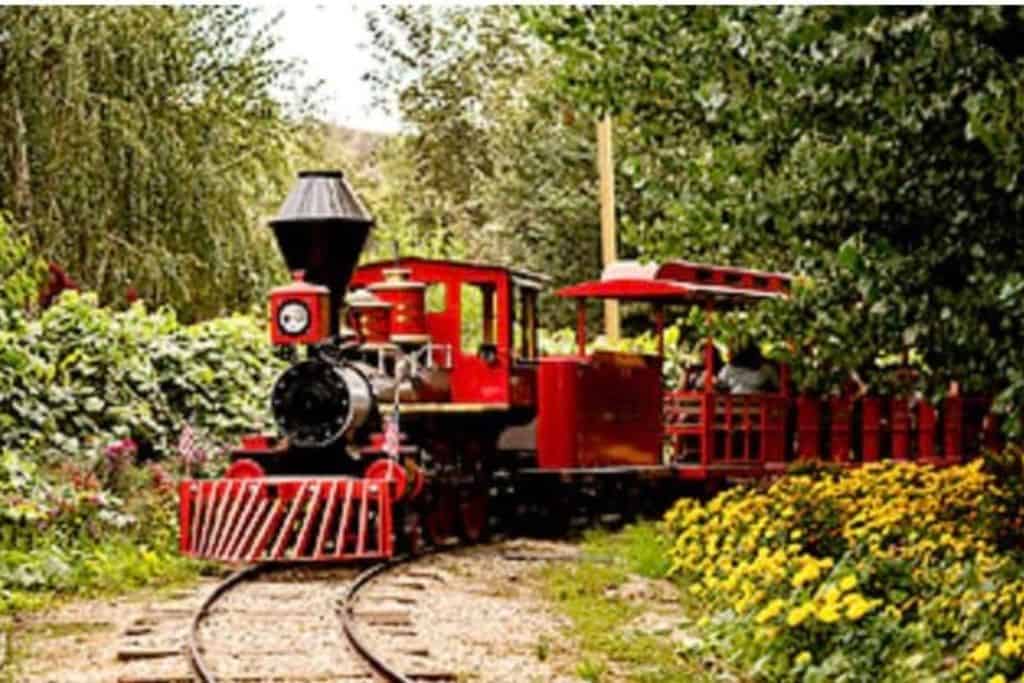 The train at Live Oak Pumpkin Patch, California.