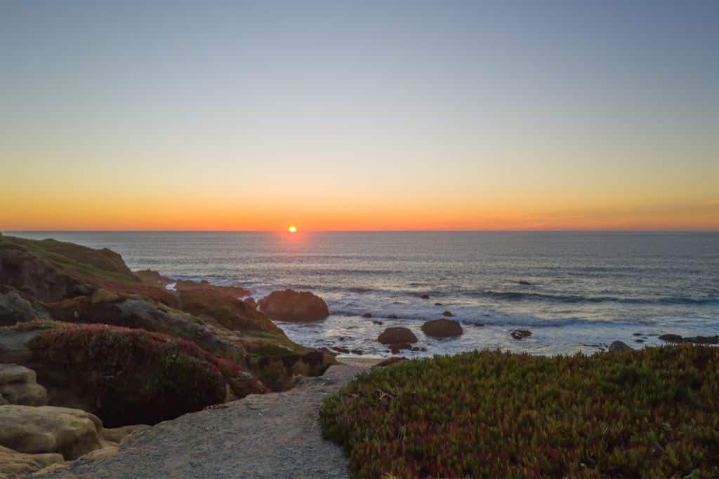 A path of sand leading down to the ocean. 