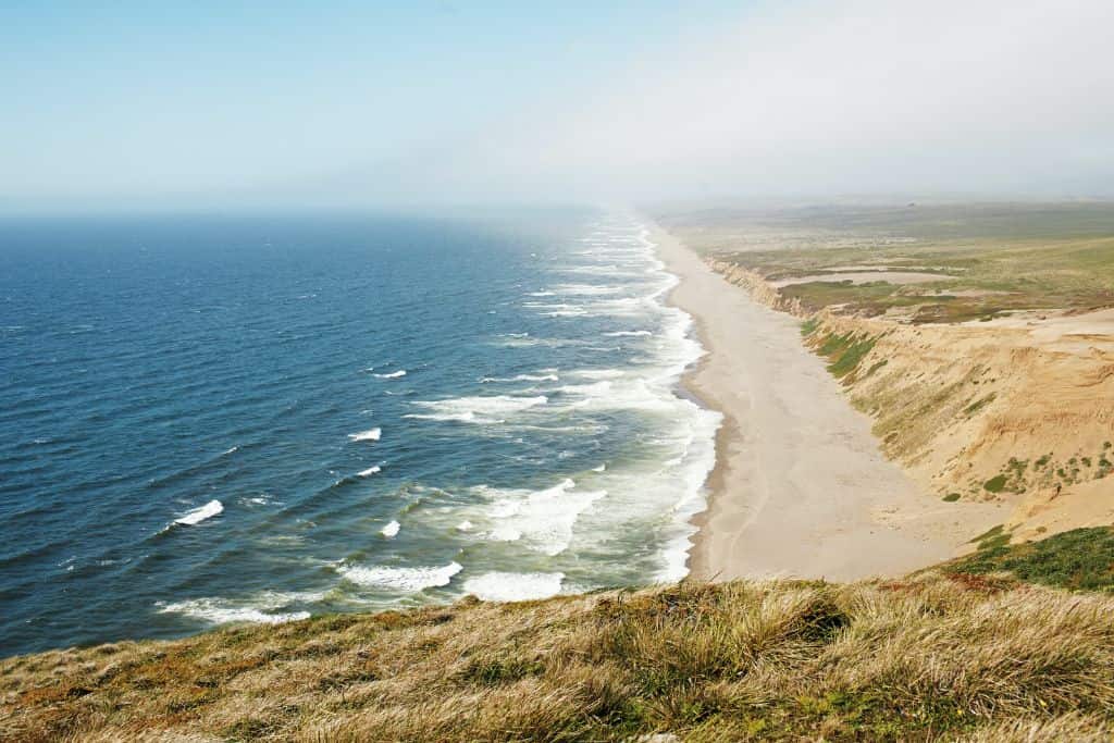 A long strip of beach in Bodega Bay.
