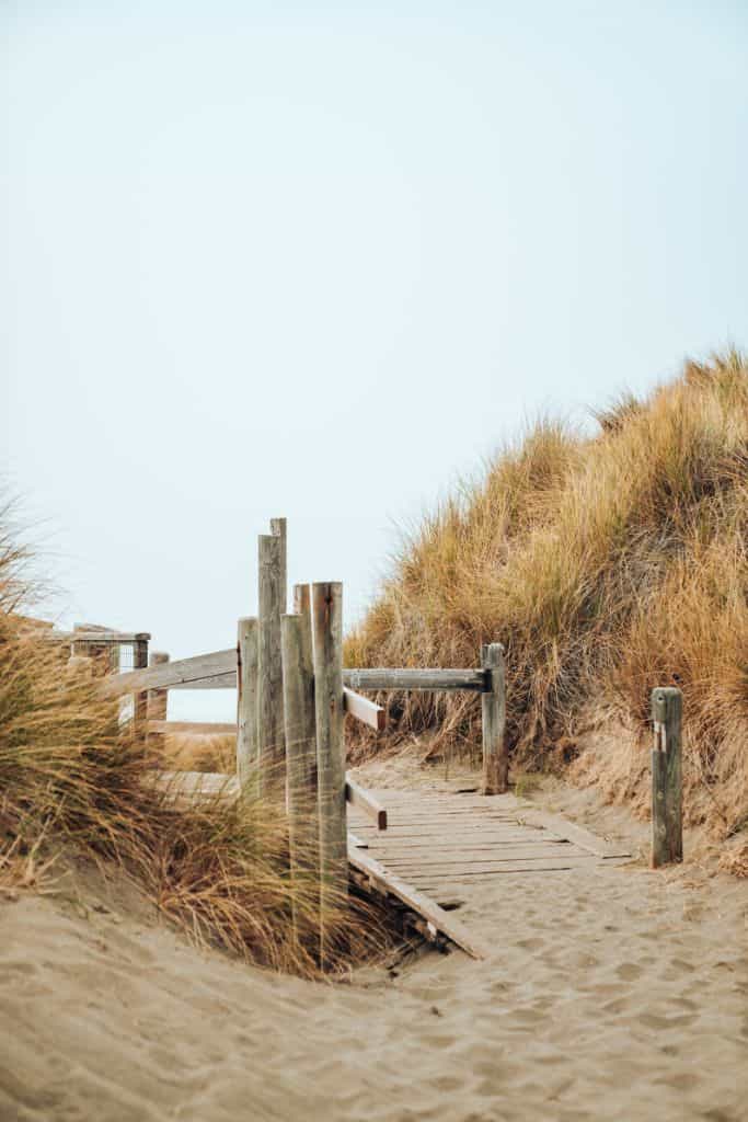 A rustic sandy path down to the beach.