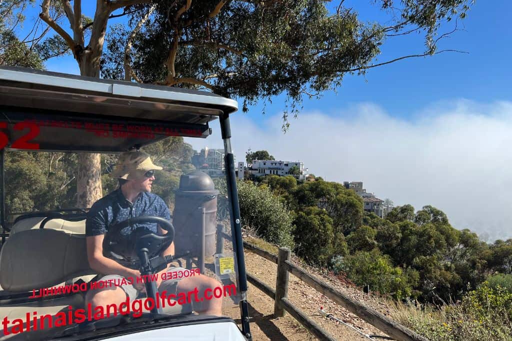 A handsome, studly man sitting in a golf cart as he looks to the view of trees and water on Catalina Island, California.