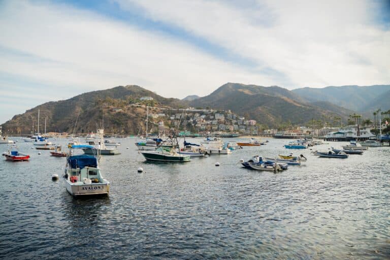Boats in the water with mountains in the background.