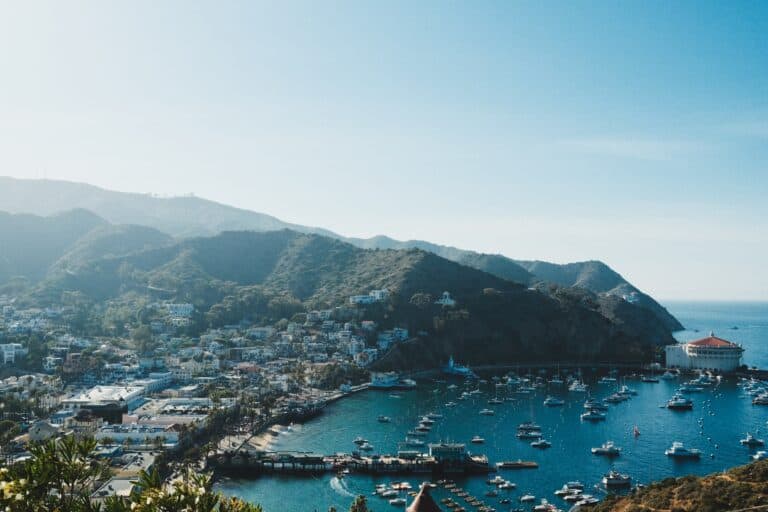 Catalina Island from a lookout point.