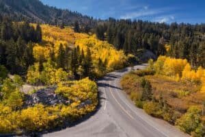 A road in Lake Tahoe in the fall. With trees with bright yellow trees.