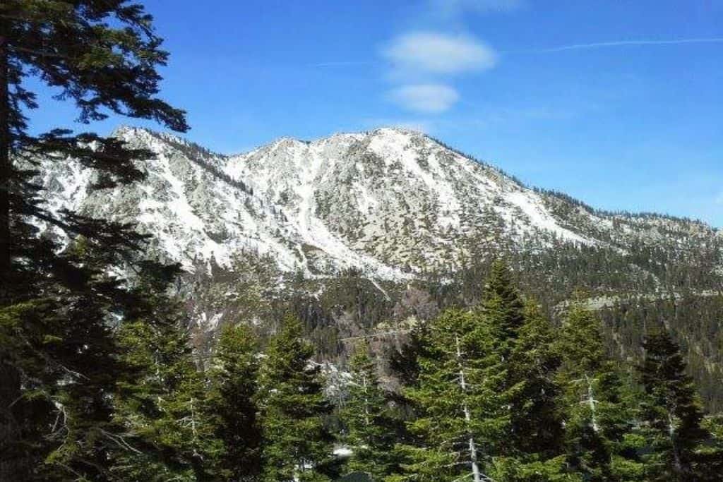 A mountain with snow on it and trees in the foreground. 