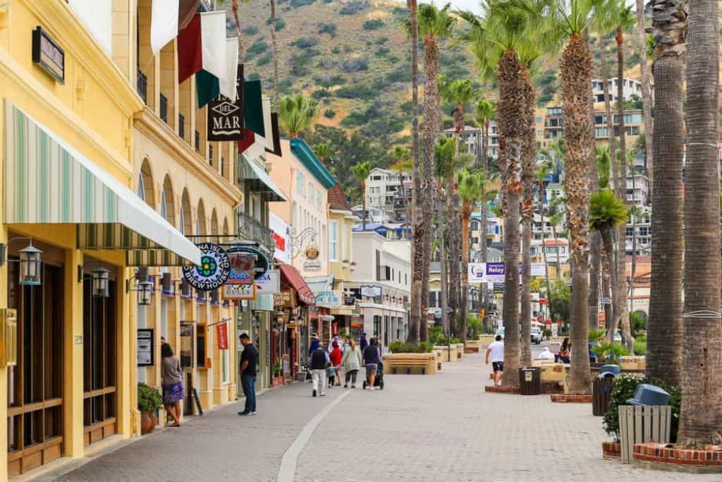 A small street lined with palm trees where people window shop.