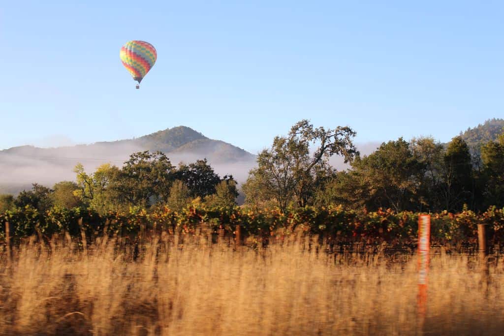 A hot air balloon over Temecula Valley, California.