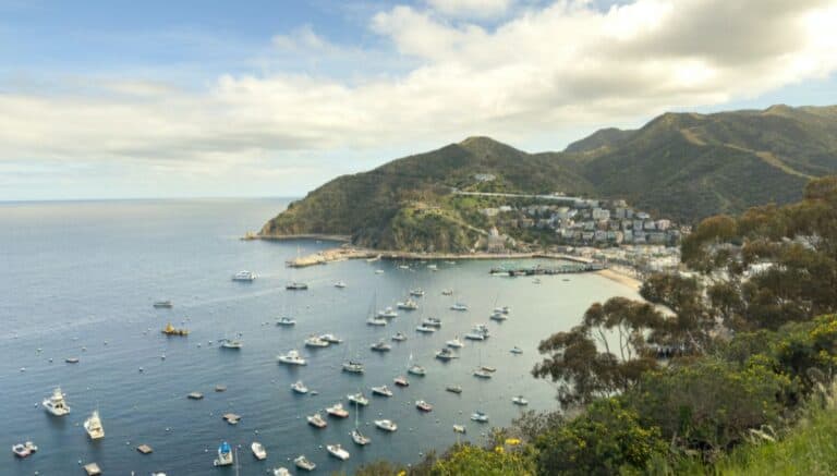 Mountains and water surrounding Catalina Island, California.