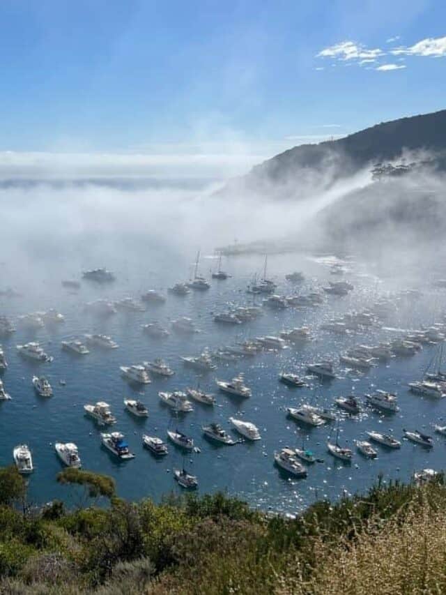 Catalina Island from above with boats on the harbor.