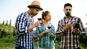 Two men and one woman standing in a vineyard. One of the men and the woman are holding a glass of red wine while the other man holds the bottle as he is looking at it and discussing it.