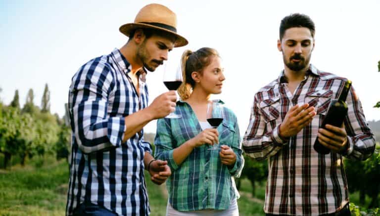 Two men and one woman standing in a vineyard. One of the men and the woman are holding a glass of red wine while the other man holds the bottle as he is looking at it and discussing it.