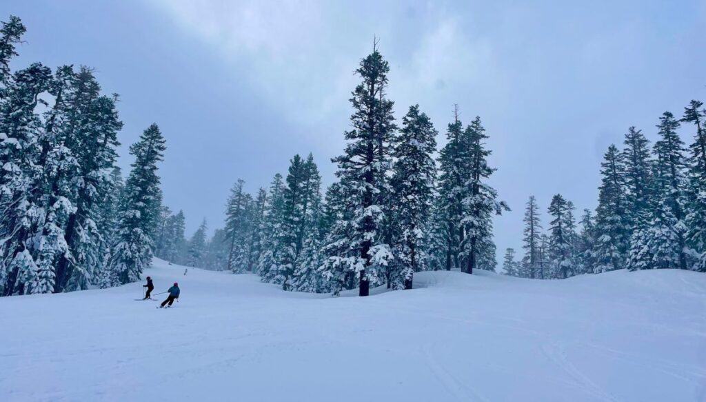 Skiers on a very snowy mountain. 