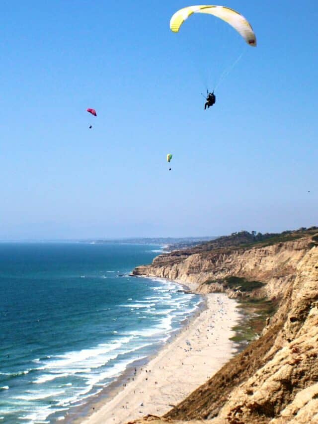 A San Diego beach with several paragliders over it.