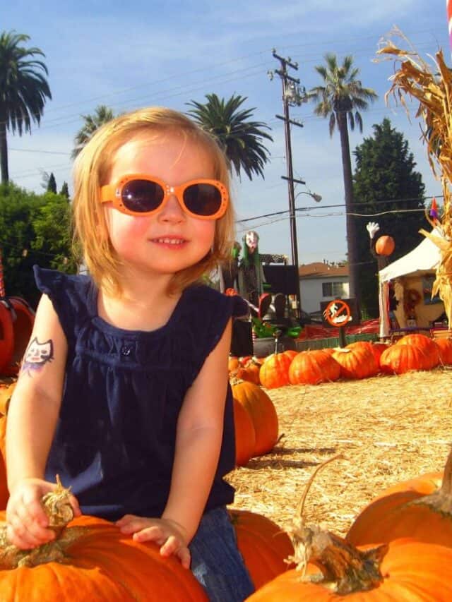 A little girl in orange sunglasses sitting on a Pumpkin at Mr. Bones Pumpkin Patch in Culver City, California.