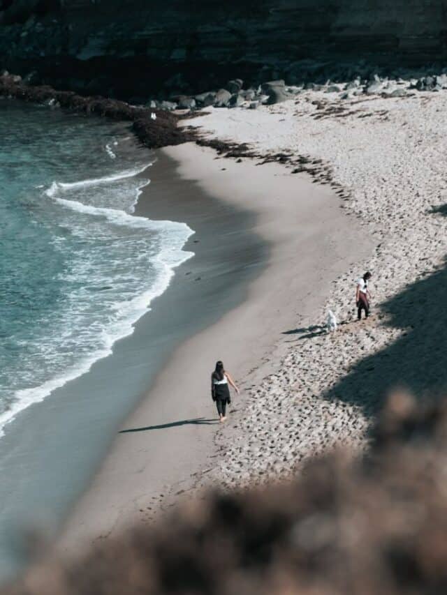 ocean-beach-san-diego