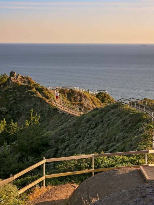 A path out to the water with a fence and bright green trees.