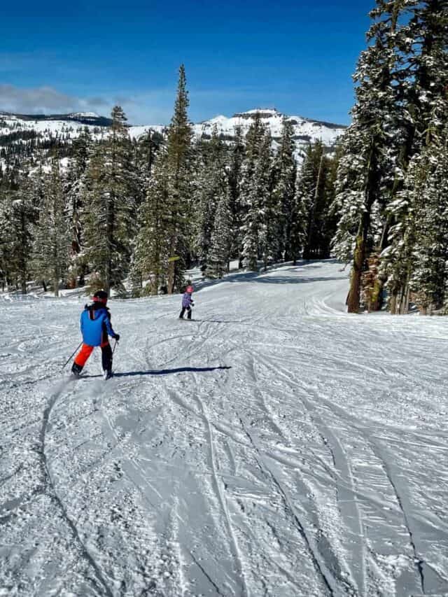 Two skiers skiing downhill on a snowy mountain surrounded by large trees.