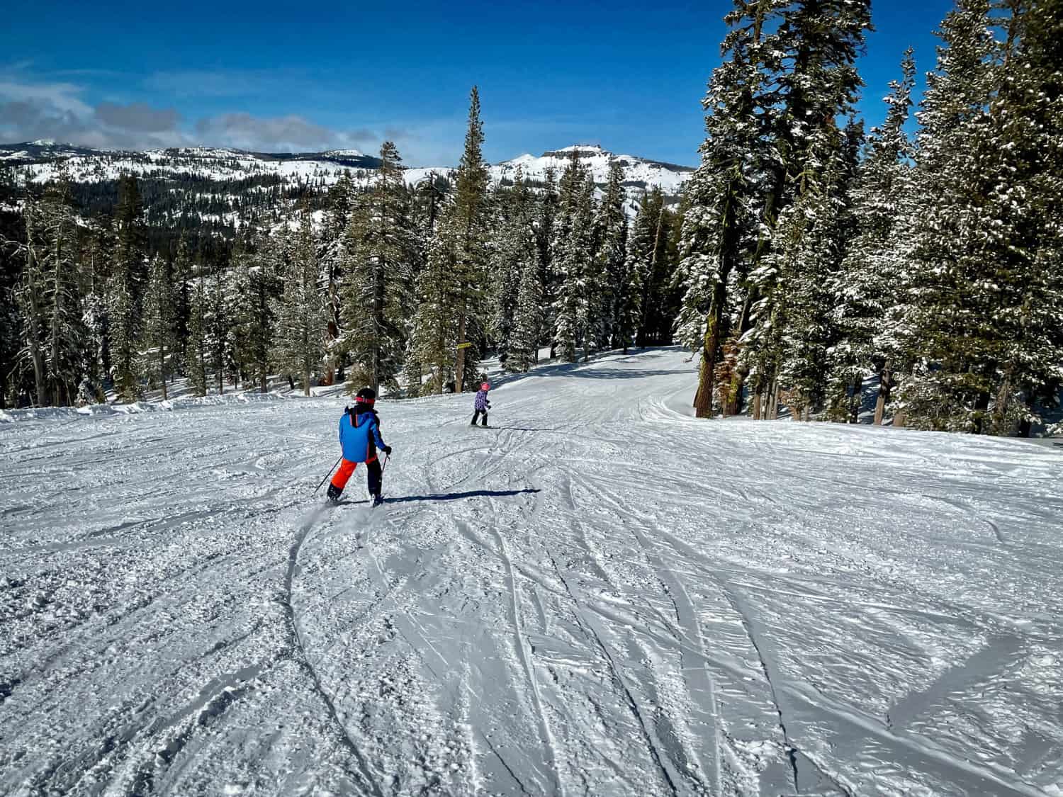 Two skiers skiing down a mountain surrounded by trees. 
