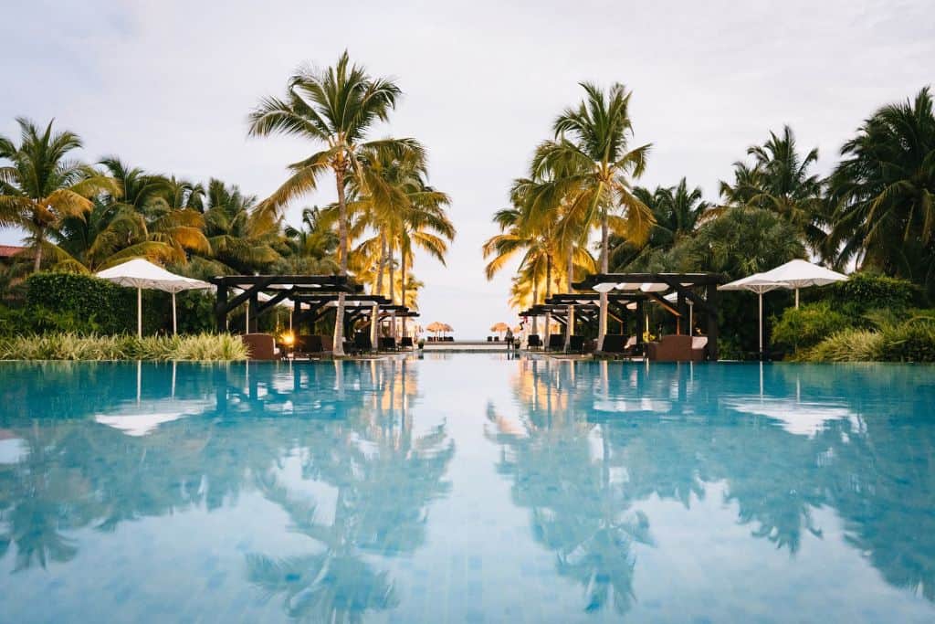 A gorgeous pool lined by palm trees. 