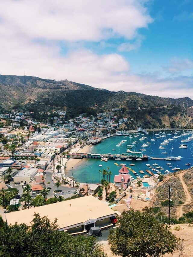 Catalina Island in February.