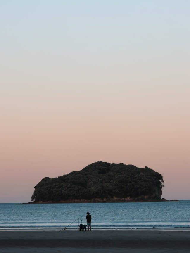 Sunset Fisherman